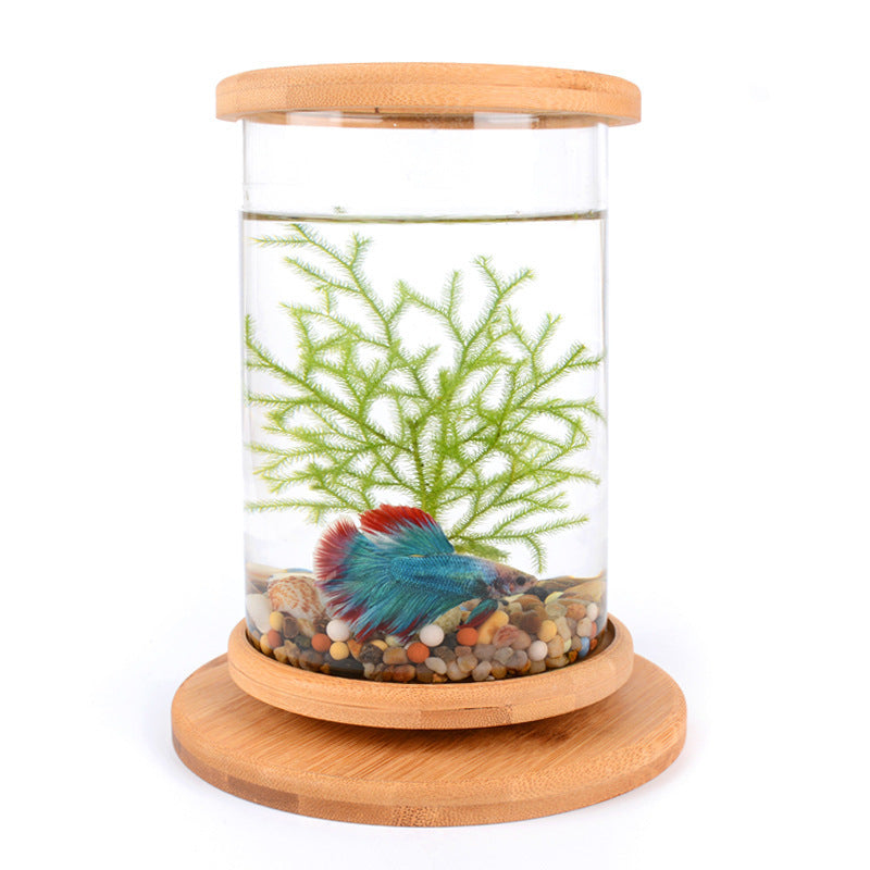 Aquarium Bamboo Base Mini Fish Tank (Decoration Fish Bowl)