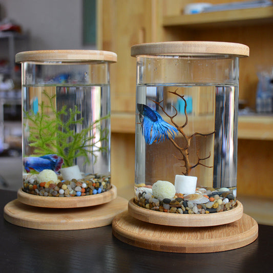 Aquarium Bamboo Base Mini Fish Tank (Decoration Fish Bowl)